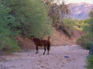 photo thumbnail #13