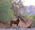 photo thumbnail #15