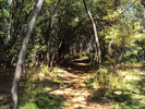 photo thumbnail #10