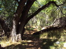 photo thumbnail #11
