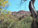 photo thumbnail #12