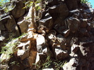 photo thumbnail #13