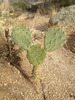 photo thumbnail #7