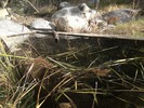 Featured Full Photo