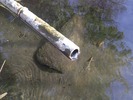 Featured Detail Photo