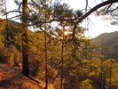 photo thumbnail #13
