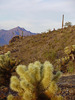 photo thumbnail #8