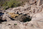 photo thumbnail #3