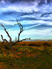 photo thumbnail #2