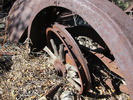 photo thumbnail #12