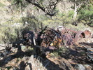 photo thumbnail #13