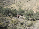photo thumbnail #15