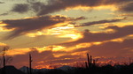 photo thumbnail #1