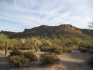 photo thumbnail #1