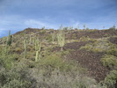 photo thumbnail #4