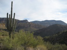 photo thumbnail #5