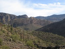photo thumbnail #6