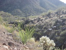 photo thumbnail #7