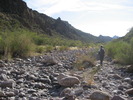 photo thumbnail #9