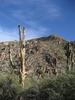 photo thumbnail #11