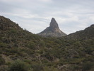 photo thumbnail #14