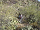 photo thumbnail #3