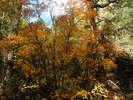 photo thumbnail #10