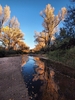 photo thumbnail #8