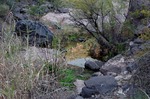 photo thumbnail #2