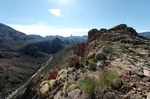 photo thumbnail #13