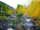 photo thumbnail #8
