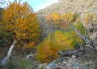 photo thumbnail #11