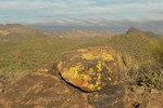 photo thumbnail #4
