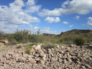 photo thumbnail #3