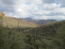 photo thumbnail #10