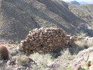 photo thumbnail #2