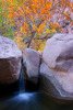 photo thumbnail #2