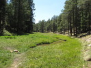 photo thumbnail #6