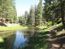 photo thumbnail #7