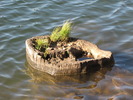 photo thumbnail #9