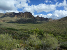 photo thumbnail #3