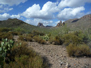 photo thumbnail #4