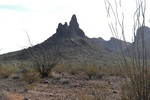 photo thumbnail #2
