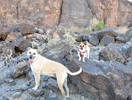photo thumbnail #6