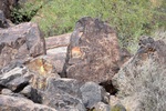 photo thumbnail #11