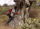photo thumbnail #3