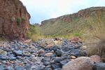 photo thumbnail #4