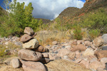 photo thumbnail #10
