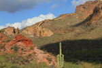 photo thumbnail #11