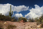 photo thumbnail #15